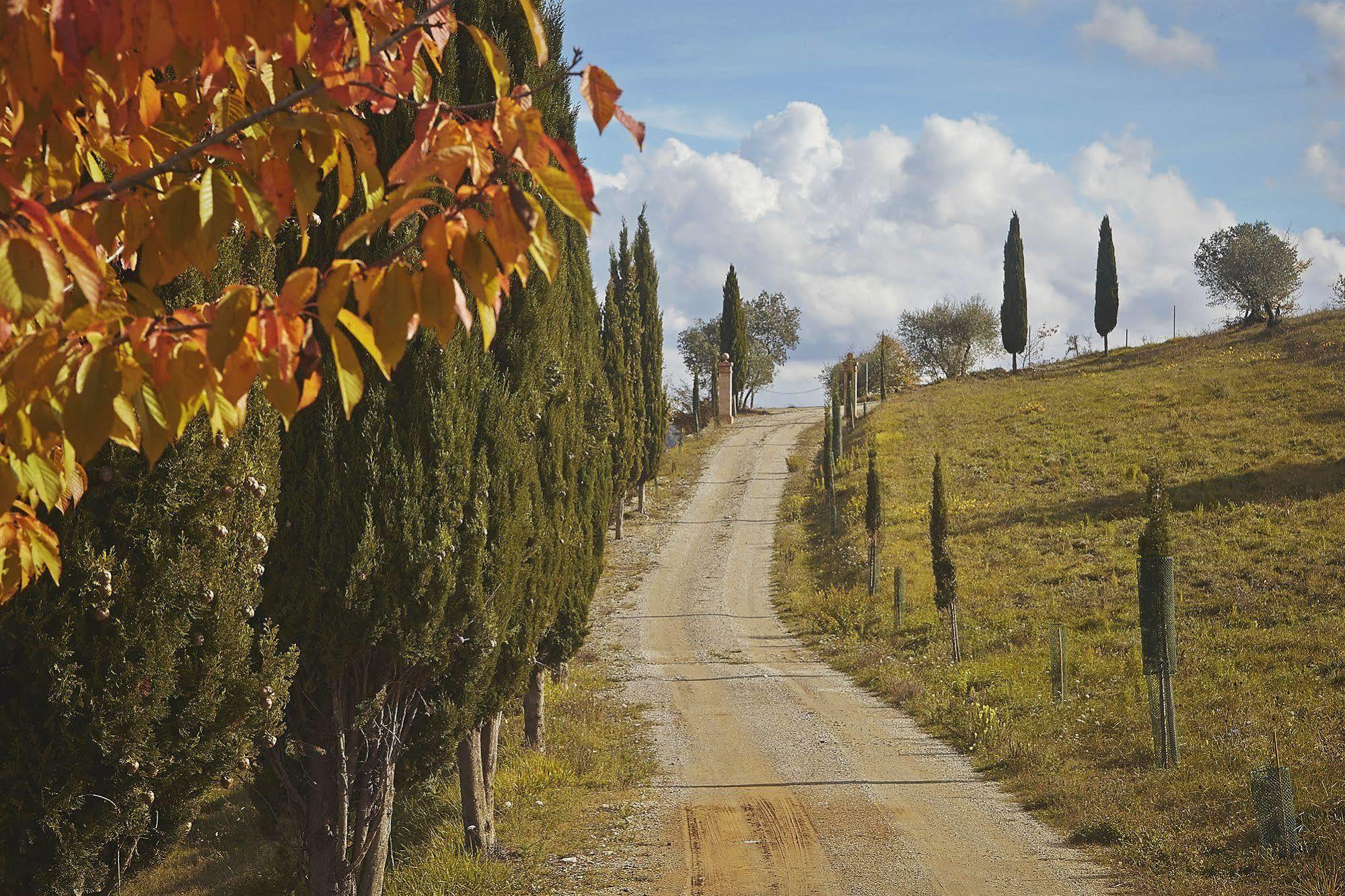 בית הארחה קסטלינה אין קיאנטי 	Fattoria Poggio Al Sorbo מראה חיצוני תמונה